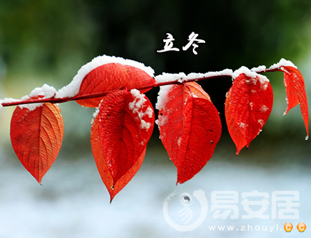 立冬是什麼意思