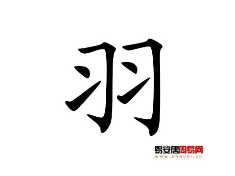 帶羽字的女孩名字怎麼取