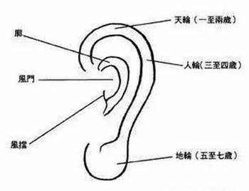 耳朵看相,女人耳相,耳相特征分析