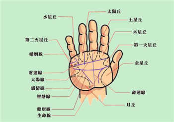 充滿熱情,熱情洋溢,手相特征