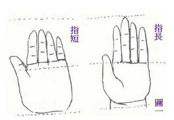 小拇指短小,尾指短的含義,手相學