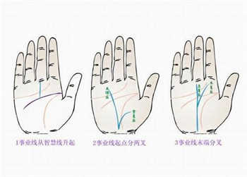 手相解讀,事業線,太陽線