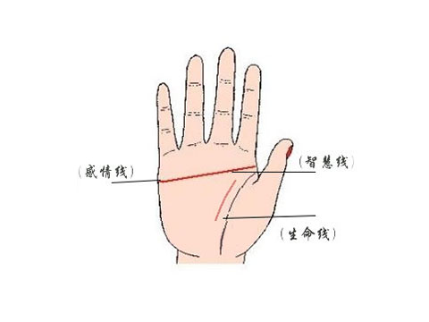 假斷掌手相圖解,假斷掌手相類型,真假斷掌手相