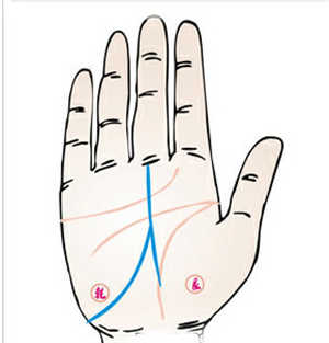 手相圖解,事業線分叉,事業線分叉的含義