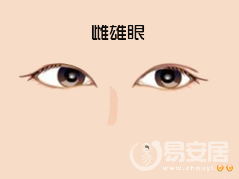 眼睛一邊單一邊雙