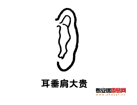 耳垂肩面相圖解