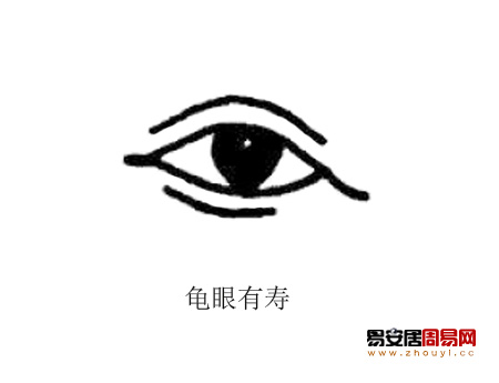 龜眼面相圖解