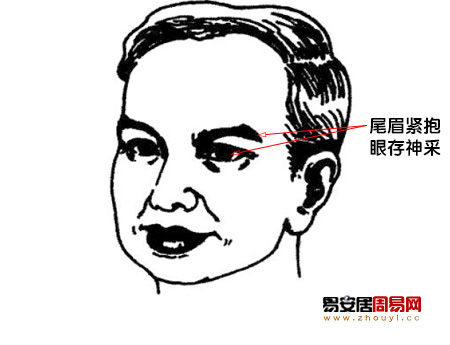 尾眉緊抱,眼存神采