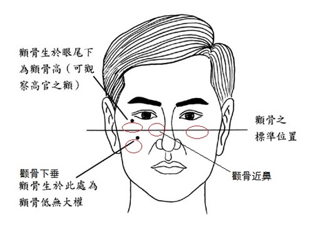 男人顴骨高看相算命圖解