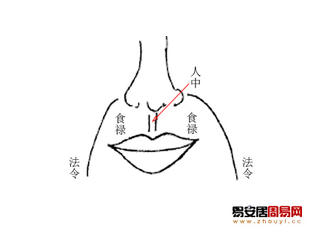 人中看面相算命圖解