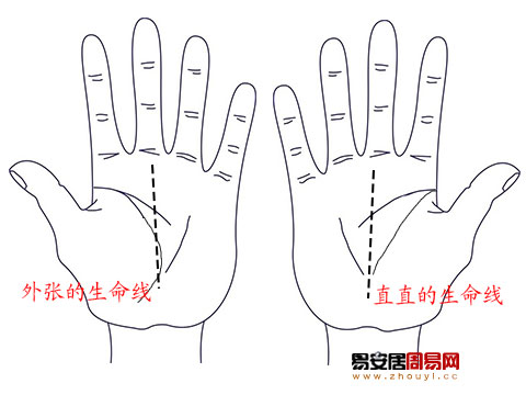 外張與直直的生命線