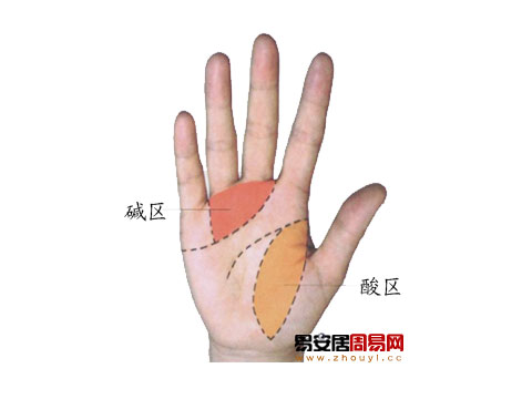 手診之手掌酸鹼區劃分法