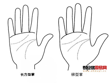 長方型梯型手掌