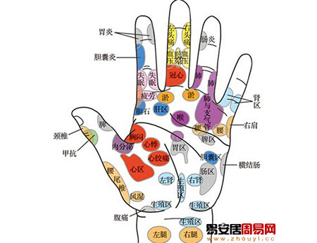 如何看手相掌紋八區診斷疾病