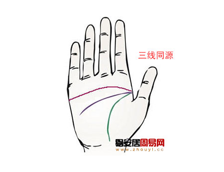 手掌三線同源