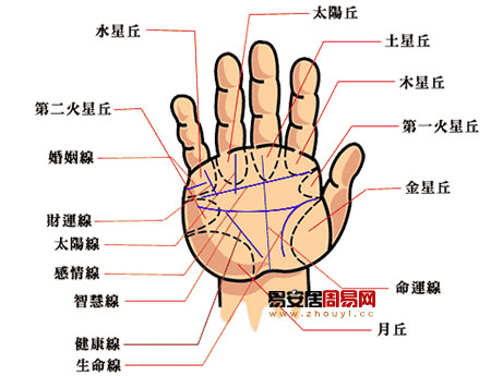 手相三大主線