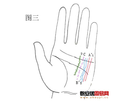 兩條健康線