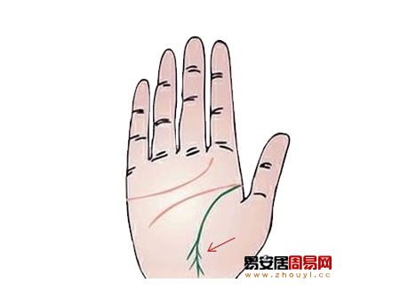 生命線末端分叉