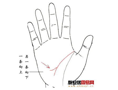 手相智慧線分叉成兩條