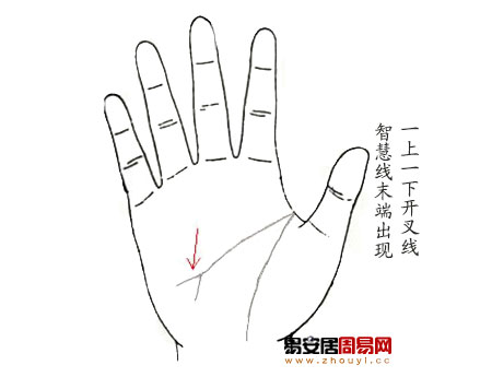 智慧線一上一下開叉