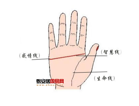 真假斷掌怎麼辨別(真斷掌)