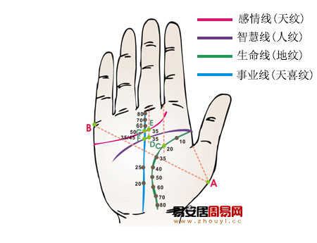 手相事業線上有島紋算命