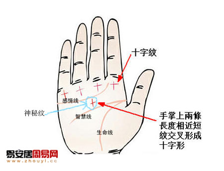 掌紋中的十字紋講解