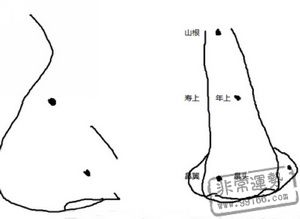 痣相,鼻子