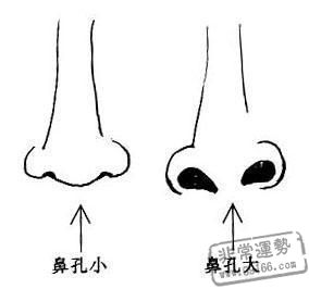 眉毛太散,面相