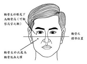 權利,顴骨,面相