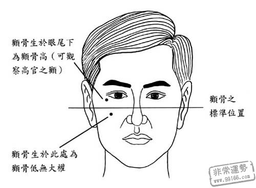 性格,顴骨,面相