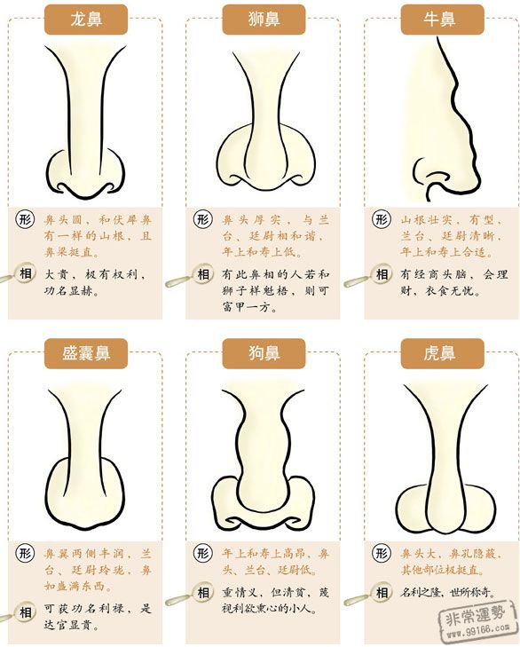 鼻子面相,鼻子看相,鼻子看運勢