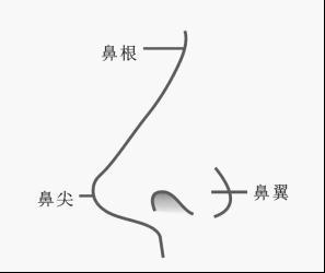 面相算命圖解,面相鼻子
