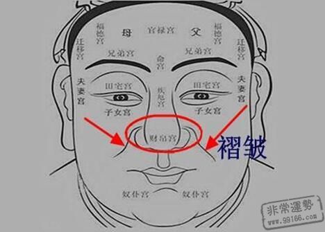 手面相特征,貴不可言,相學分析