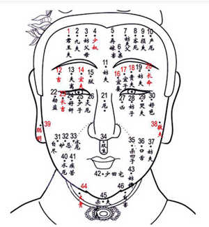 痣相圖解,女人痣相