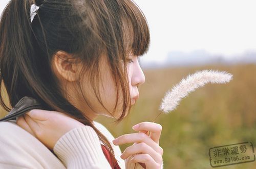 女人八字,八字配對,免費八字配對