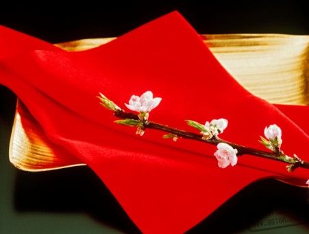 桃花,爛桃花,八字配對
