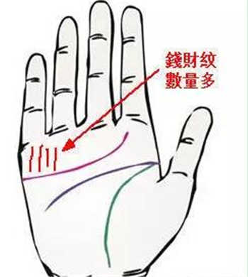 旺財掌紋,手相看財運,自查手相
