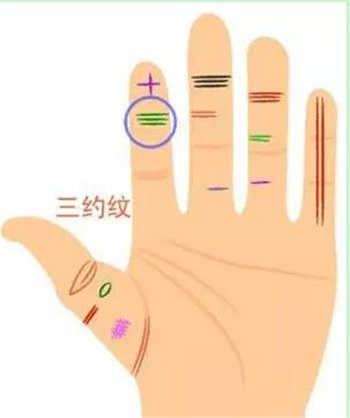 旺財掌紋,手相看財運,自查手相