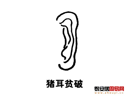 豬耳面相圖解