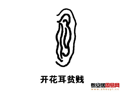 開花耳面相圖解