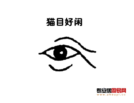 貓眼面相圖解