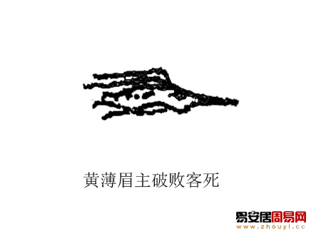 黃薄眉面相圖解