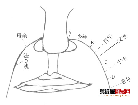 法令紋看相算命