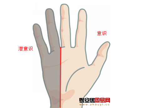 手掌二分區法