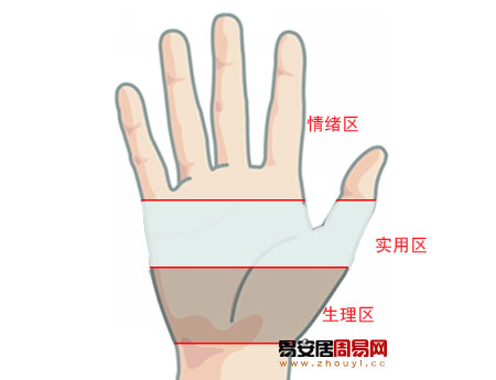 手掌三分區法