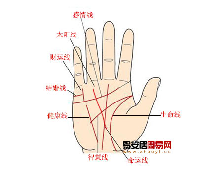 看太陽線知財富