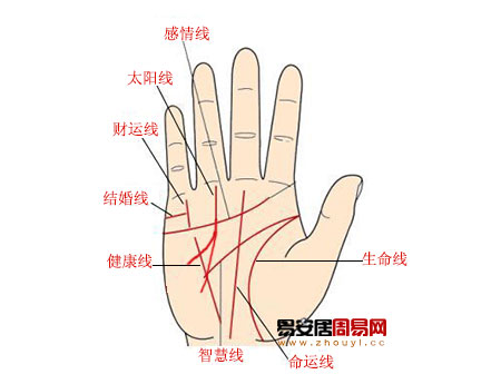 太陽線看財運