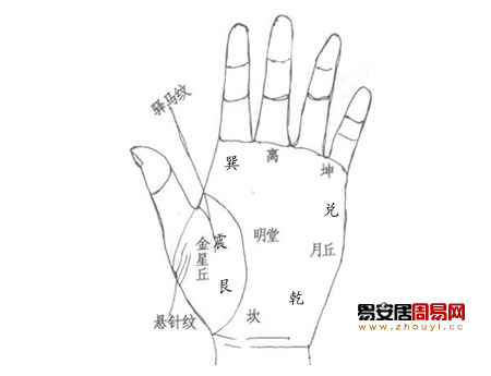 火星丘飽滿的人的性格