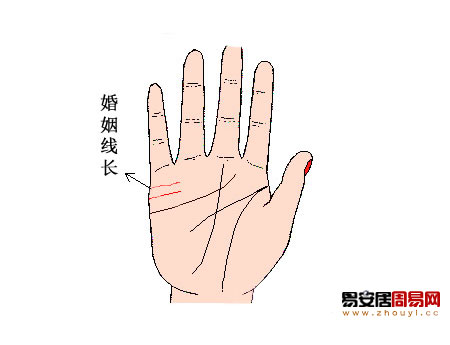 婚姻線長